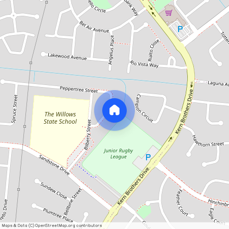 12 Peppertree Street, Kirwan