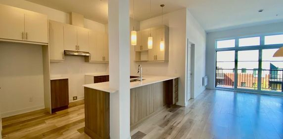 Longueuil 4 1/2 spacieux 1051 pi ca - Photo 2