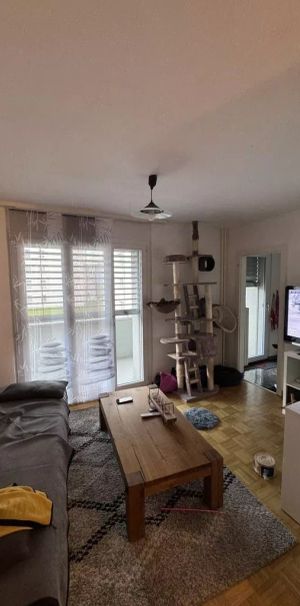 Bel appartement de 2 pièces à louer ! - Photo 1