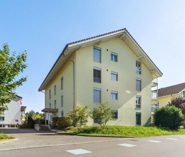 The perfect single apartment - Photo 6