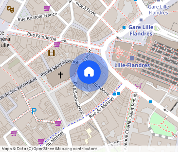 T2 Lille Secteur Lille - Photo 1