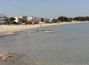 Διαμέρισμα για ενοικίαση - Αρτέμιδα (Λούτσα), - Photo 5