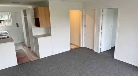 Fully Renovated Apartment - Photo 2