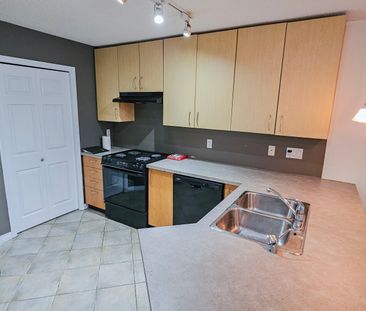 1 Br + Den Beautiful Condo For Rent In Lincoln Park: Heat & Water I... - Photo 6