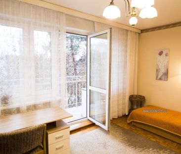 Poznań, Jeżyce, Sołacz - Photo 5