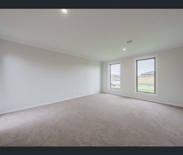 Effortless Family Living in the Heart of Arden Estate - Photo 2