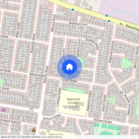 21 Carinya Avenue, Newcomb