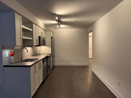 For Lease - 525 Adelaide Street Unit# 333, Toronto, Ontario - Photo 3