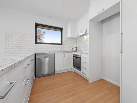 18 Lincoln Street, Kings Meadows TAS 7249 - House For Rent - $650 | Domain - Photo 2