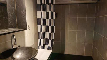 Location Appartement 2 pièces 51m² LYON 1er - Photo 5