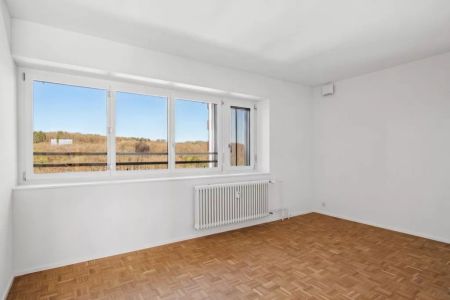 Appartement neuf de 4.5 pièces avec vue imprenable sur le lac - Foto 2