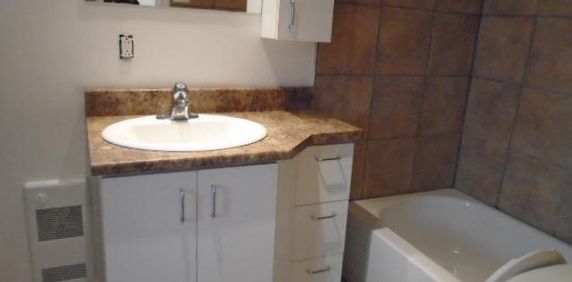 5 ½ rue Dufresne et Maisonneuve Montréal LIBRE - Photo 2