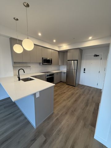 BRAND NEW 1 BED 1 BATH AT FIVE CROSSINGS - Photo 4
