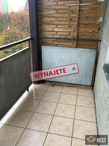 Dwupokojowe mieszkanie na wynajem ul. Niemcewicza - Photo 3