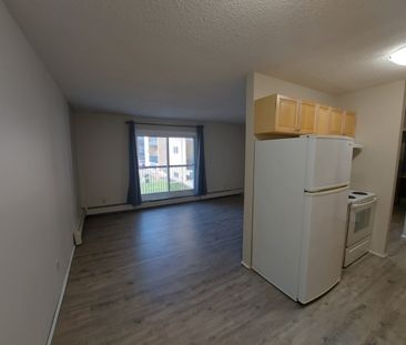 Unit Available in Mature Area of Downtown! One Month Free Rent!! - Photo 5