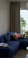 Nachmieter Gesucht Mitte/ Ende November - Photo 1