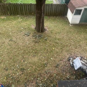 5 et 1/2 Villeray 1800$ chauffage inclus - Photo 2