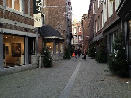 Appartement te huur - Photo 5