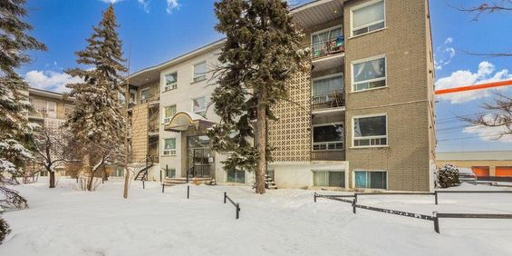2 1/2 - 4290 Métropolitain, Montréal - Photo 3