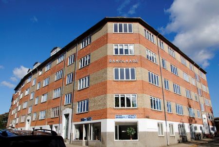 Ramsvej - Photo 5
