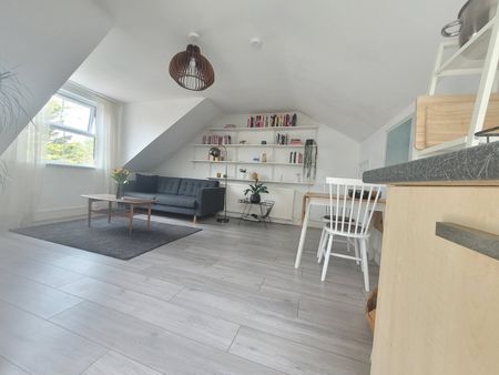 1 Bed Flat, Thistlewaite Road, E5 - Photo 5