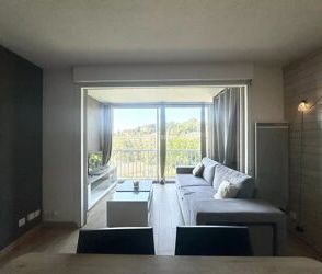 Location Appartement 2 pièces 42 m2 à Villeneuve-Loubet - Photo 2