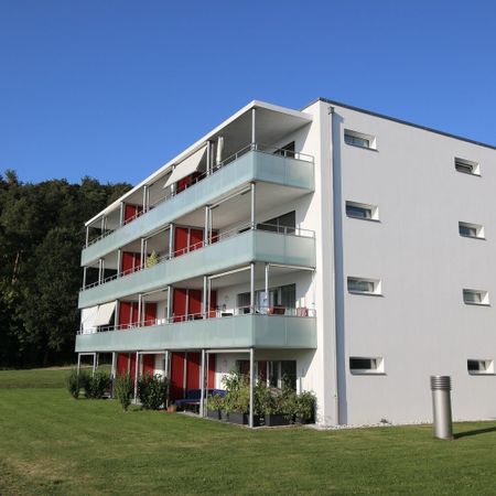 MAGNIFIQUE 2.5 PIECES / SEHR SCHÖNE 2.5-Zimmer-Wohnung - Foto 4