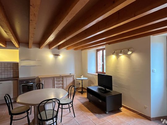 Appartement meublé avec terrasse à louer à Roiffieux ! - Photo 1
