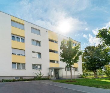 3 Zimmer, 65 m², 3. Stock - Photo 4