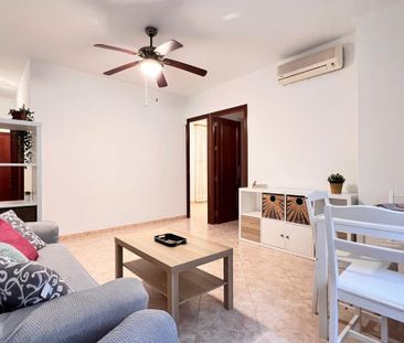 Sevilla, Andalusia 41008 - Photo 4