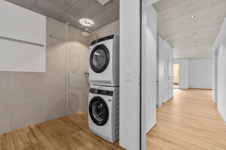 Erstvermietung: Grosse Flächen, wohnen mit viel Raum - Photo 3