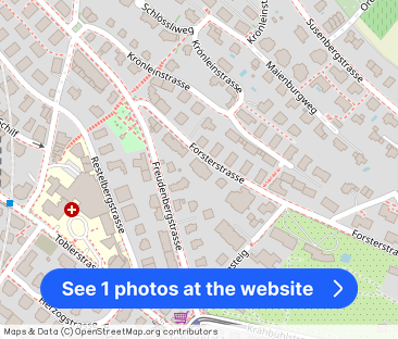 Charming apartment on the Zürichberg - RENT WITHOUT DEPOSIT - Photo 1