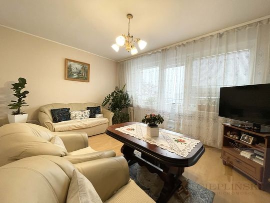 Wynajem, 3 pokoje przy Uniwersytecie, Gumieńce - Photo 1