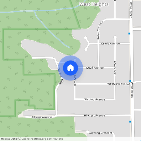 7499 Tern Street, Mission