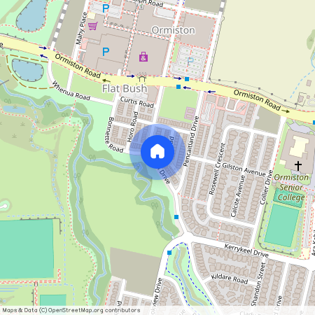 39 Haddington Drive, Flat Bush, Manukau City