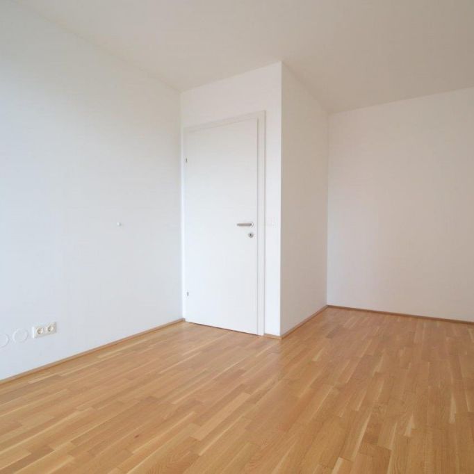 Liebenau – 52m² – 3 Zimmer – perfekte Raumaufteilung – großer Balkon - Photo 1