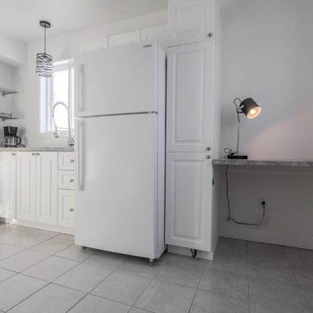 Beau 3 1/2 meublé avec les électroménagers inclus ! - Photo 3