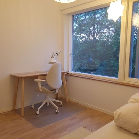 Malmö - 7rok - 12mån - 23.000kr/mån - Photo 5