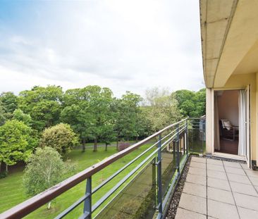 The Pines, Herbert Park Lane, Dublin 4, Dublin - Photo 4