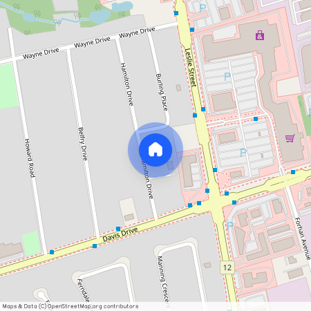 41 Hamilton Drive, Newmarket