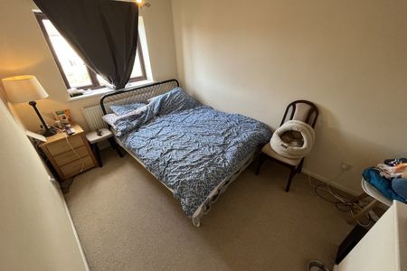 Thyme Close - Photo 5