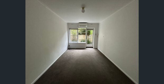 Large 2 Bedroom Apartment with Private Courtyard! - Photo 1