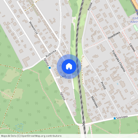 ul. Lisia, Zgierz, zgierski, łódzkie