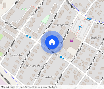 Skogmansgatan 17, Trollhättan - Photo 1