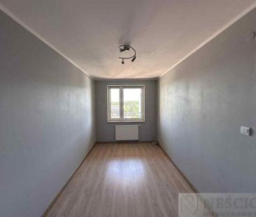 Siedlce - Zdjęcie 5