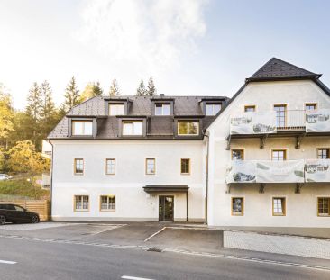 Betreubare barrierefreie Penthauswohnung - Photo 3