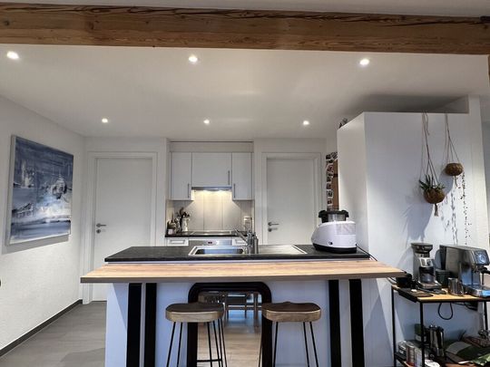 Loft in the attic under the station in Lausanne - Photo 1