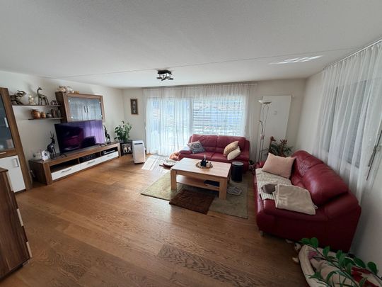 Geräumige 5-Zimmer-Maisonette-Wohnung in Allschwil - Photo 1