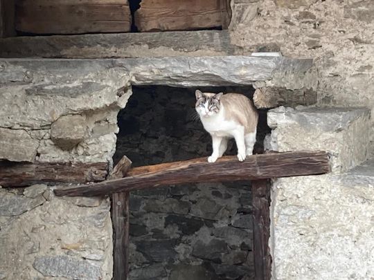 2 Zimmer, 49 m², EG - Foto 1