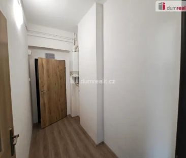 pronájem bytu 1+1, Ústí nad Labem, Střekov, Mánesova - Fotografie 5